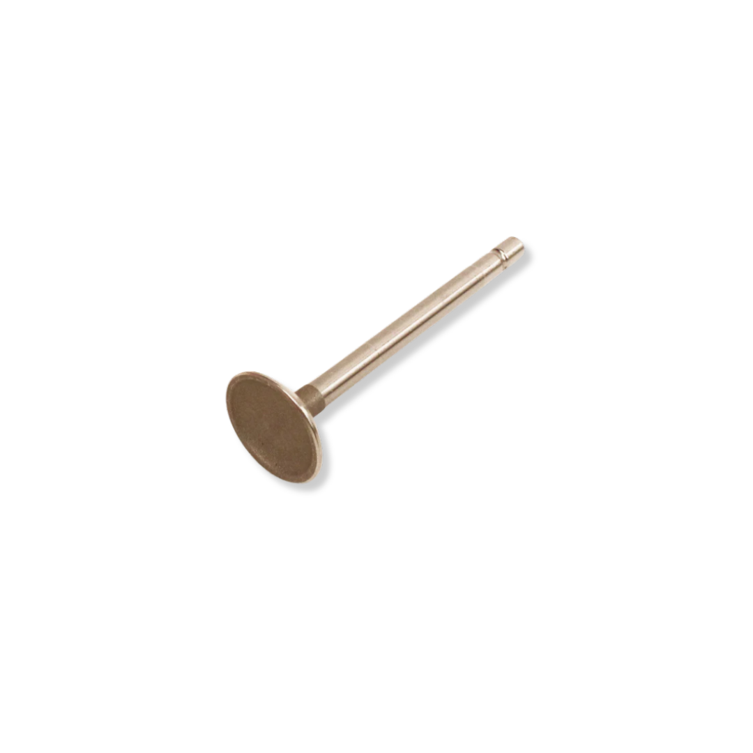 Briggs 206 Intake Valve