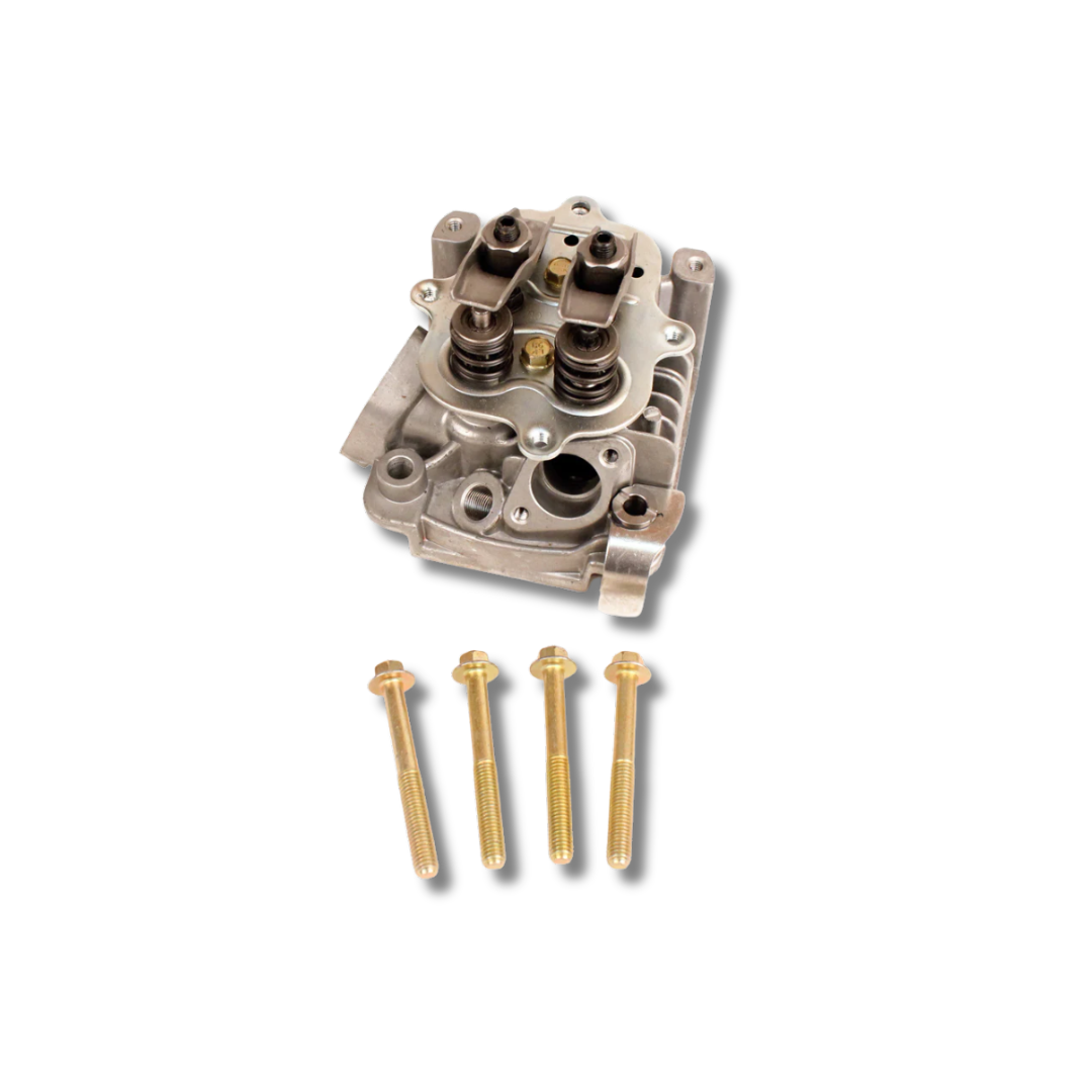 Briggs 206 Cylinder Head Assembly