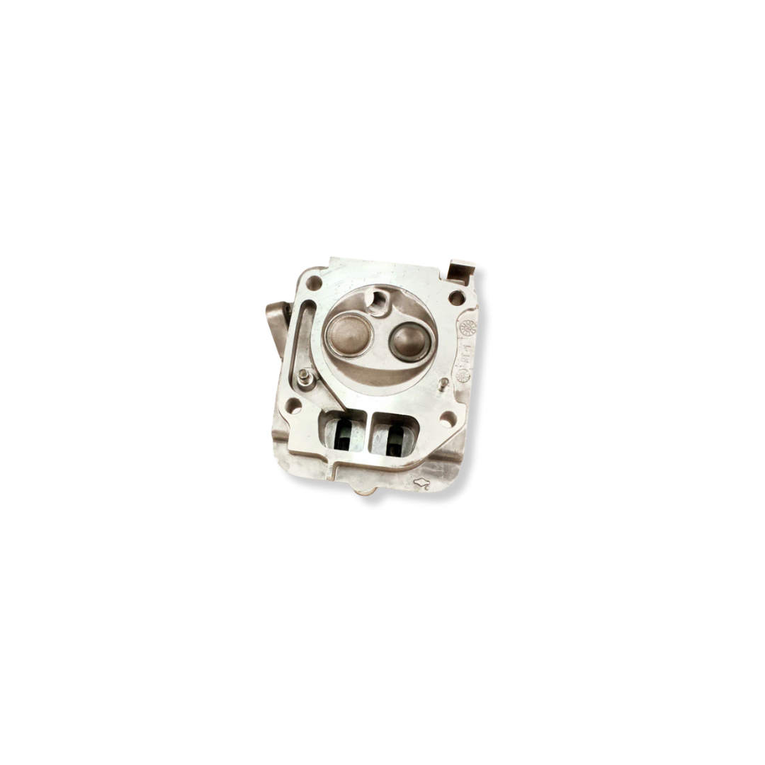 Briggs 206 Cylinder Head Assembly