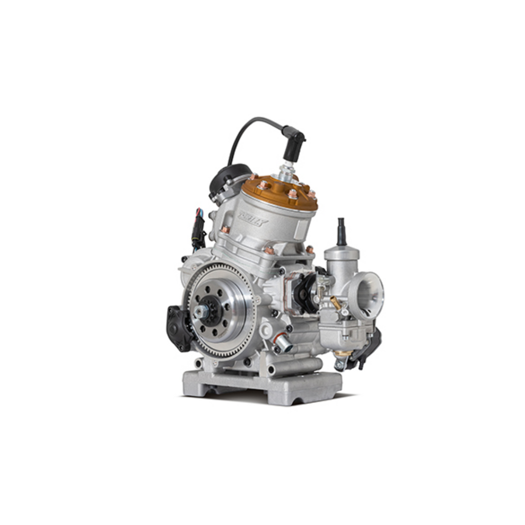 Vortex ROK GP 125cc Engine | CMC Karting