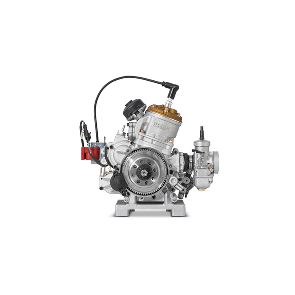 Vortex ROK GP 125cc Engine | CMC Karting